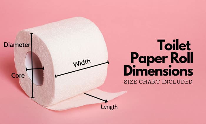 Toilet Paper Roll Dimensions (Size Chart Included) - laacib